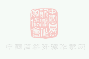 “電動(dòng)宜賓”再升級(jí) 首批四擋電動(dòng)環(huán)衛(wèi)車(chē)交付宜賓市敘州區(qū)使用