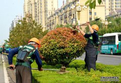 青州市：黨建紅+園林綠+環(huán)衛(wèi)橙，合力打造全域花園城市